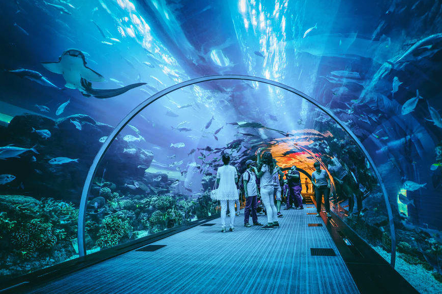 WindLab Indoor Skydiving, 1 Utama