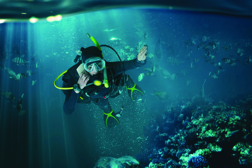 Ocean Tribe Scuba Diving