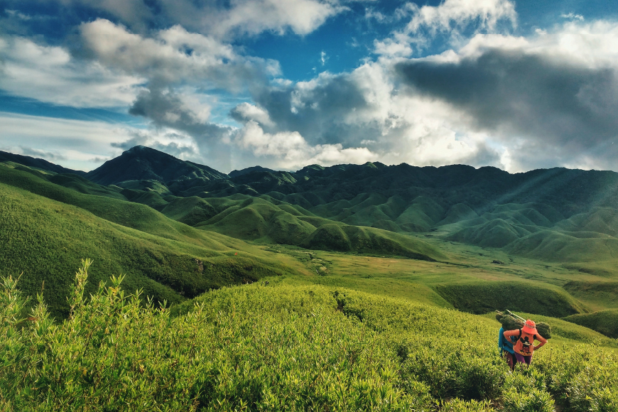 Dzukou Valley - An Abode of Lilies