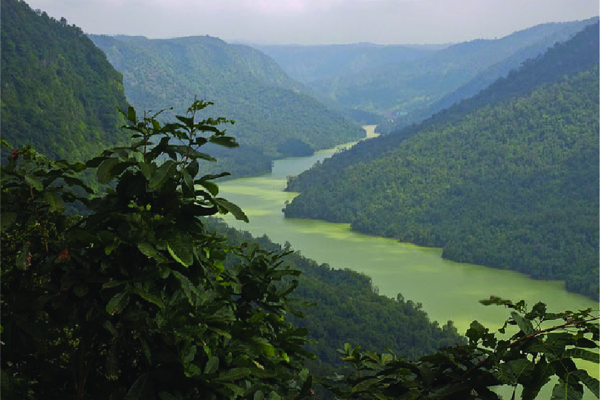 Sharavathi Valley Wildlife Sanctuary