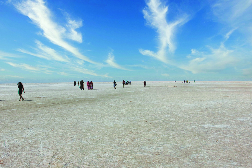 Enjoy Wildlife Attractions & Birdwatching