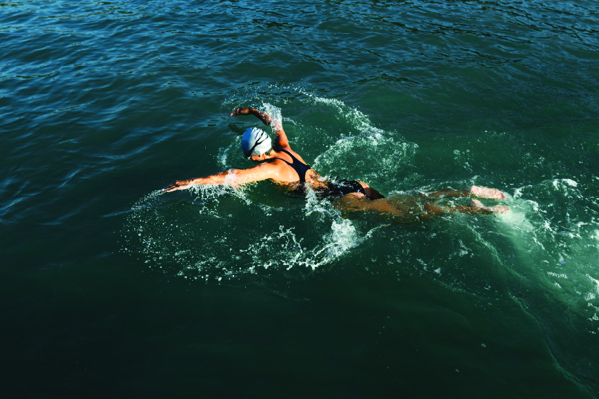 Swimming with the Dolphins at Tamarin Bay
