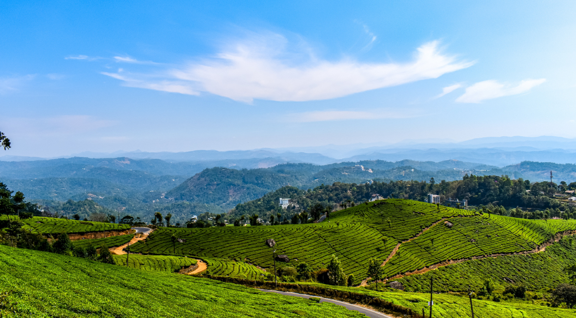 Munnar, Kerala