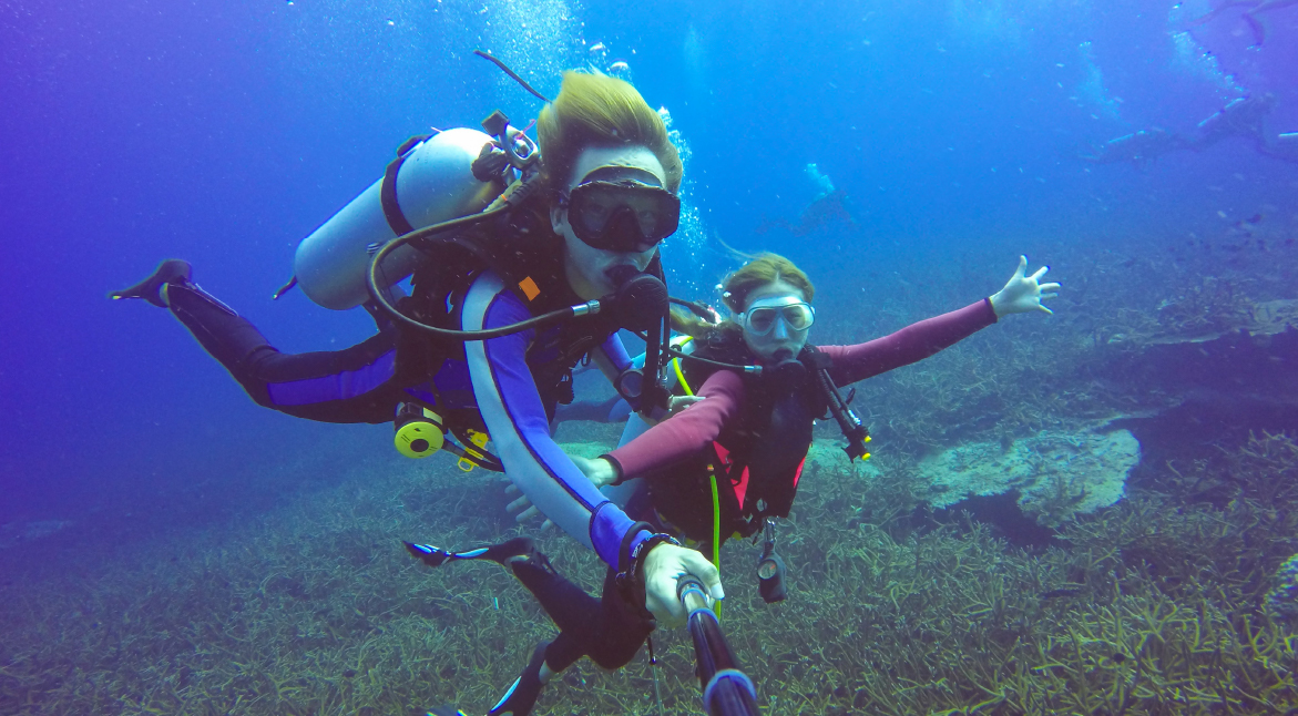 Snorkelling and Diving