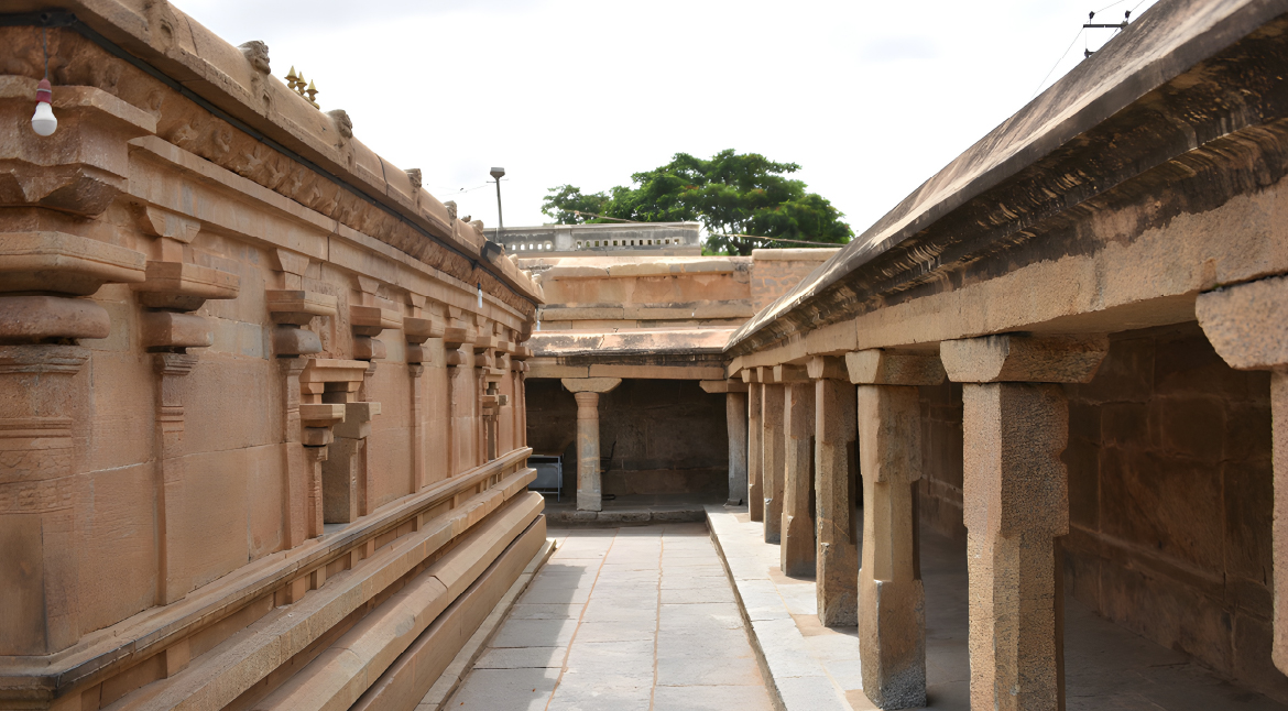 A Tapestry of Alluring Attractions