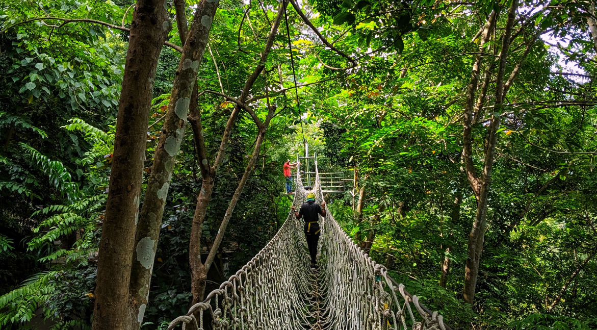 Ziplining and Adventure Activities