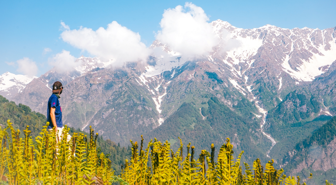 Summer Delights: June to August