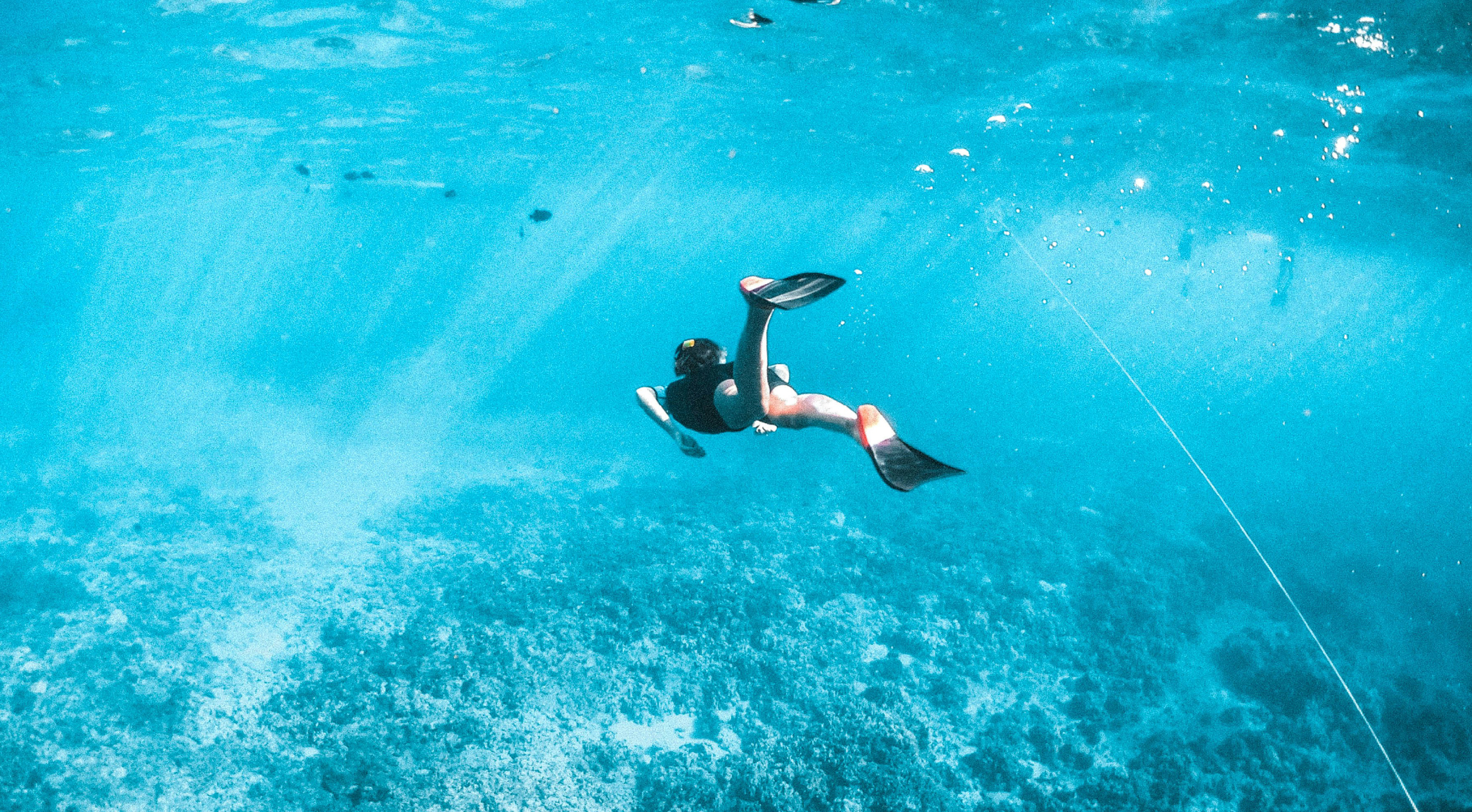 Banana Reef An Underwater Wonderland