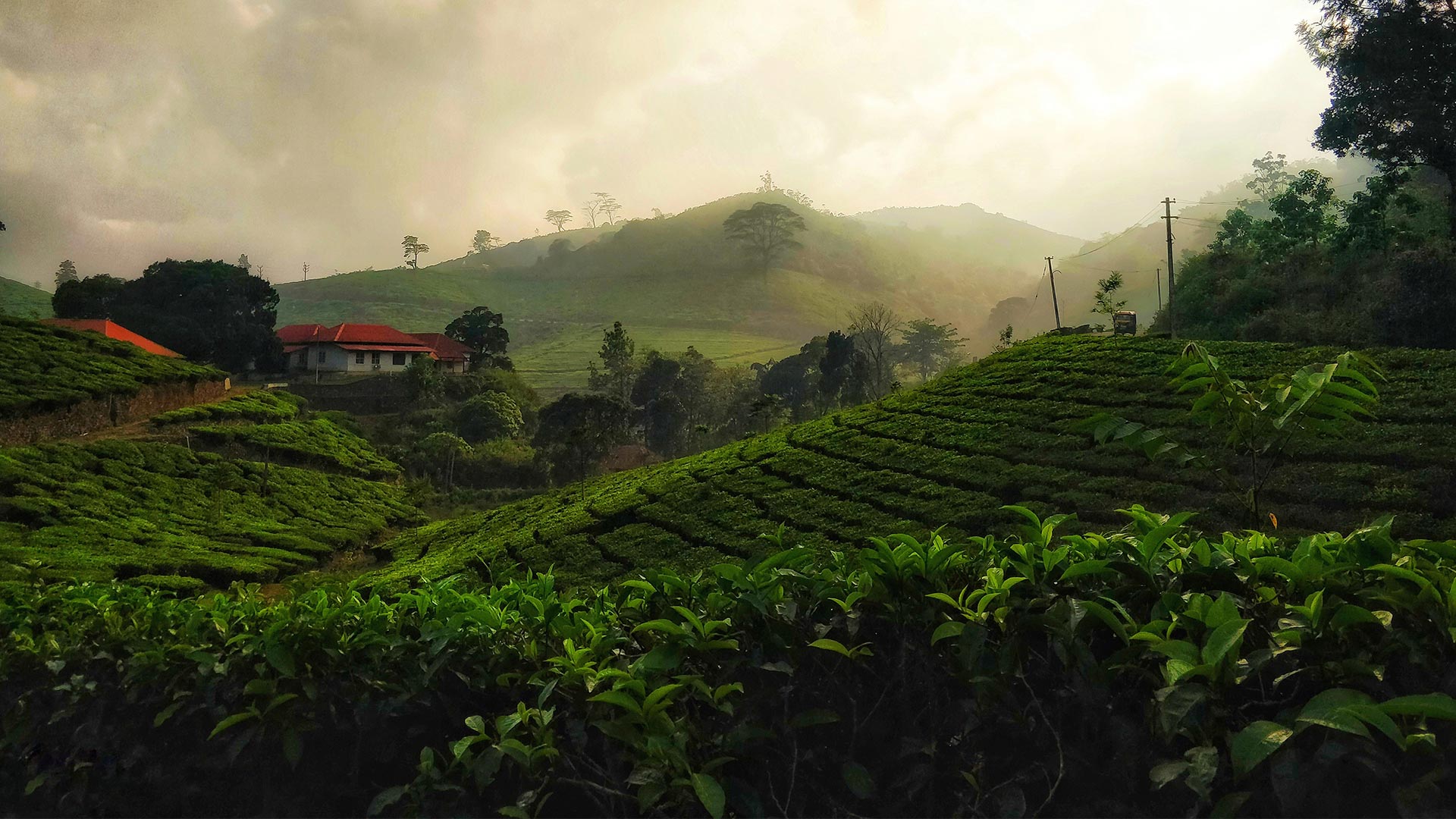 Why Shimla Is Favourite Honeymoon Destination Of Indian?