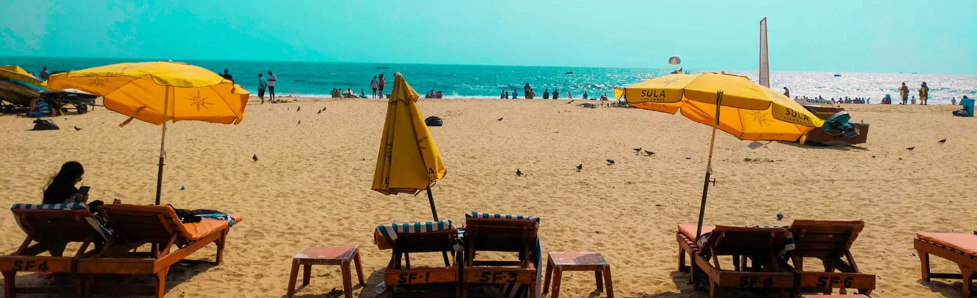 Top Best Beaches In Goa You Should Not Miss