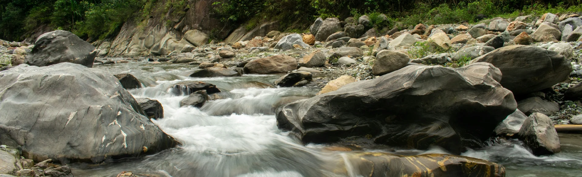 Your Darjeeling Tour Guide